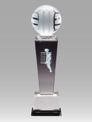 3D Crystal Male Volleyball Player