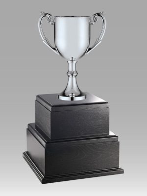 20" 2 Tiered Championship Trophy