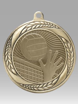 Volleyball Medal