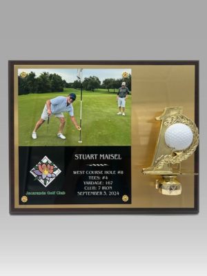 Hole in 1 Plaque