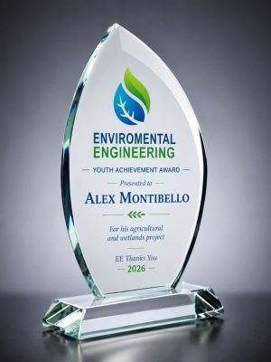 Large Full Color Boca Award