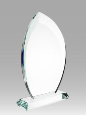 Large Boca Glass Award
