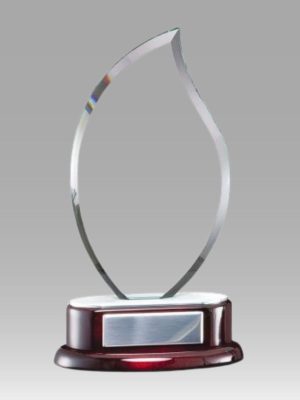 Luminary Flame Award