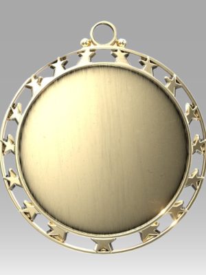 2.5" Star Insert Medal