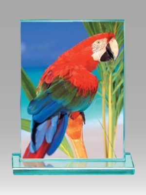 Full Color Glass Award